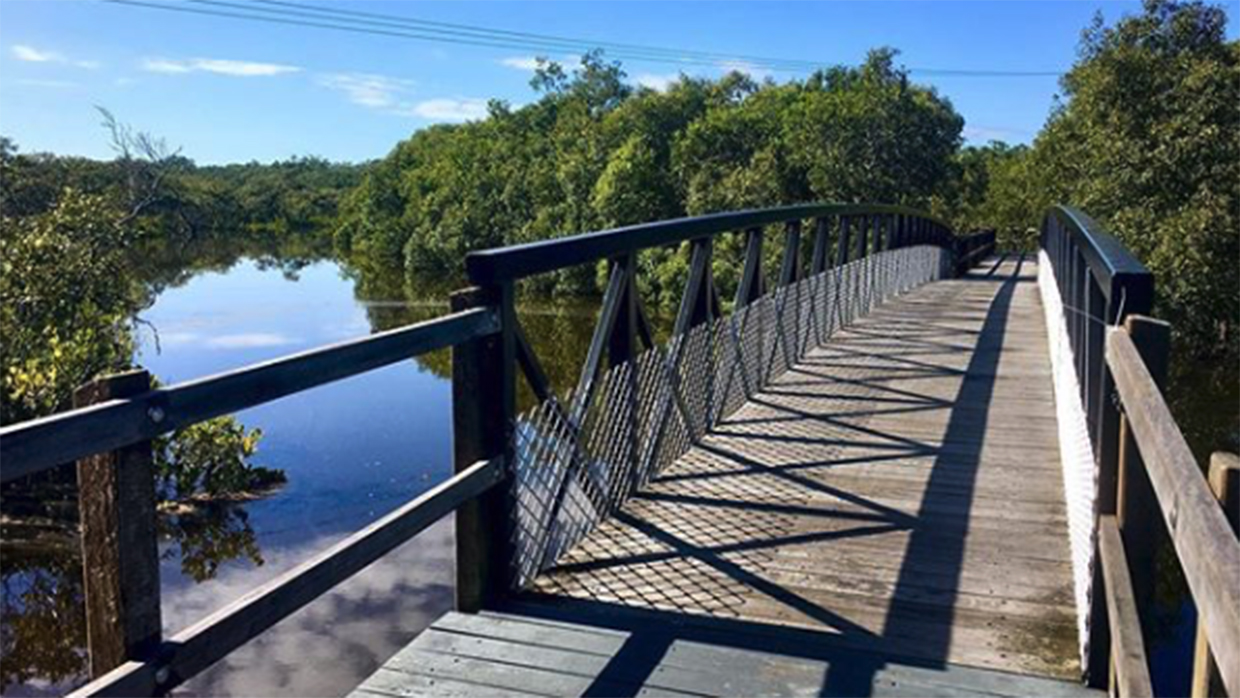 Lota Creek Boardwalk in Brisbane Bayside walking over a bridge with High Tide