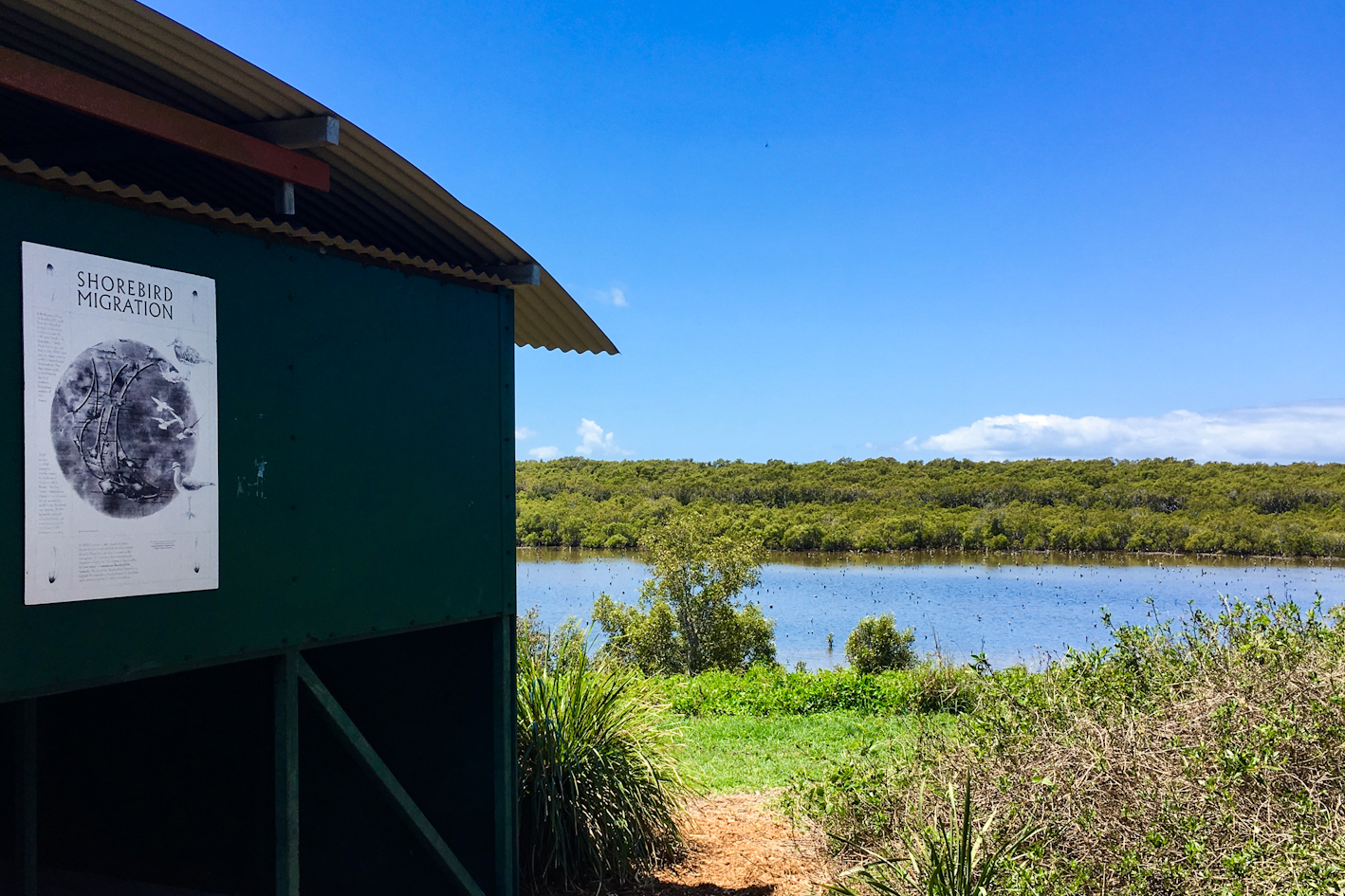 Viewing spot for Migratory Birds and Shore Birds at Wynnum Parklands Nature Reserve in Brisbane Bayside