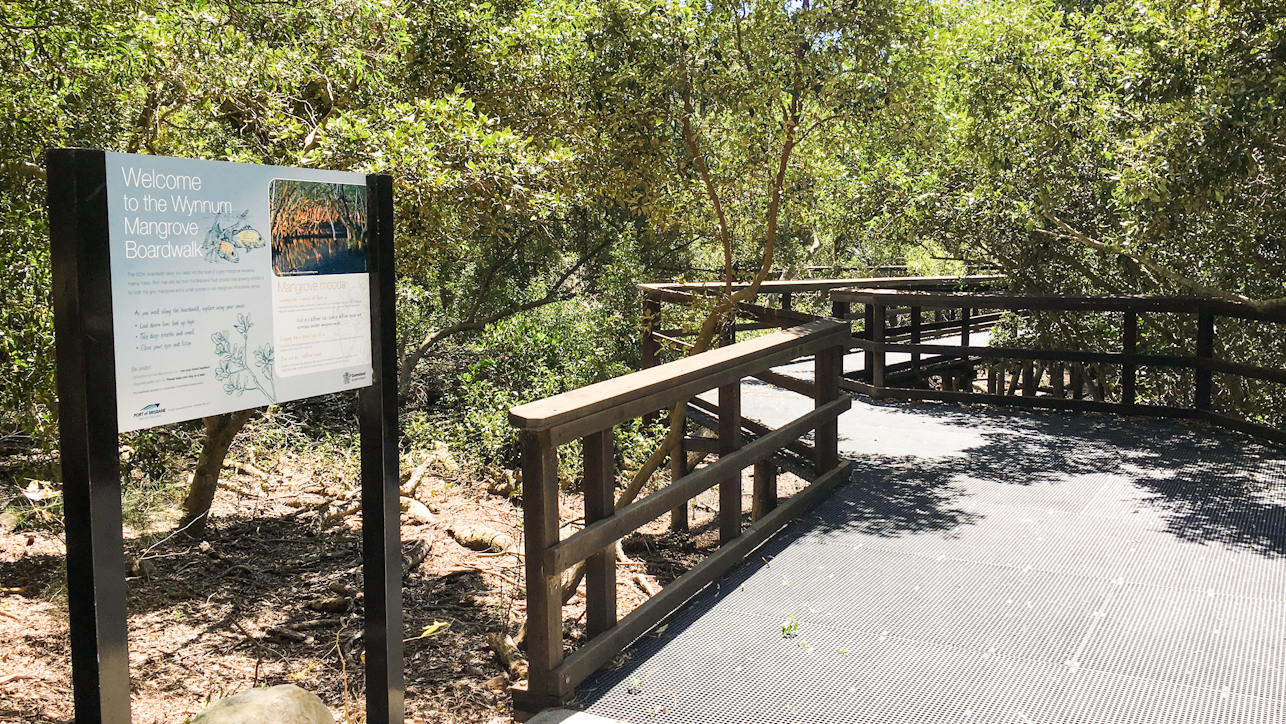 Beginning of the Wynnum Mangrove Boardwalk in Moreton Bay Region Brisbane